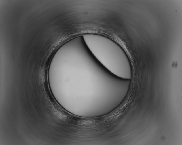X0000100920106200806241123