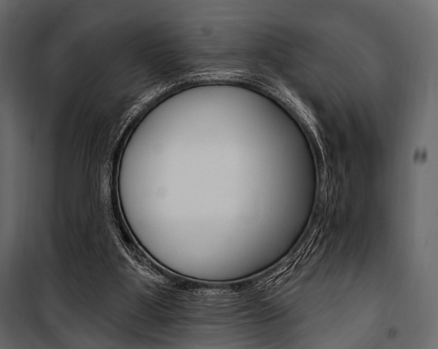 X0000100920107200806241123
