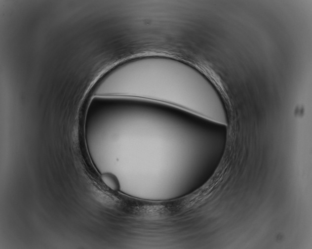 X0000100920108200806241123