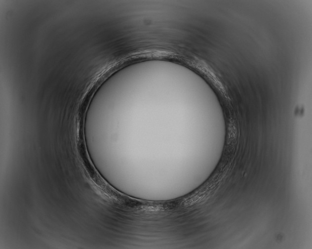 X0000100920110200806241123