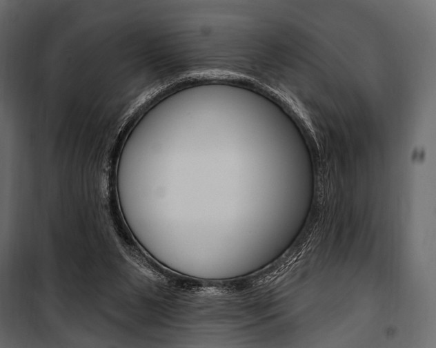 X0000100920111200806241123