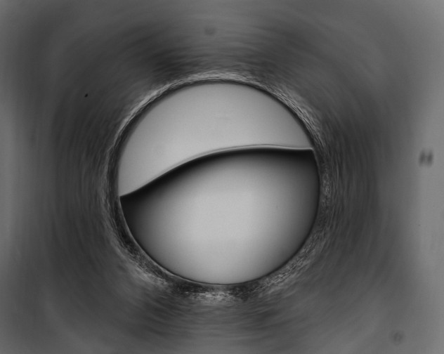 X0000100920112200806241123