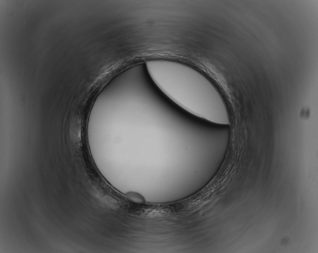 X0000100920115200806241123