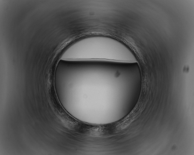 X0000100920116200806241123