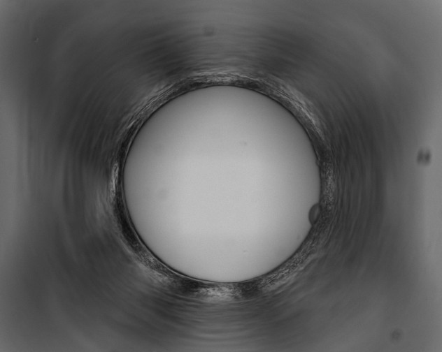 X0000100920118200806241123