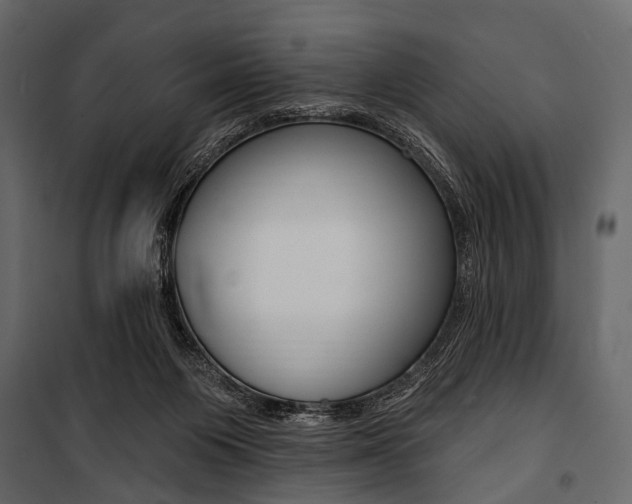 X0000100920119200806241123