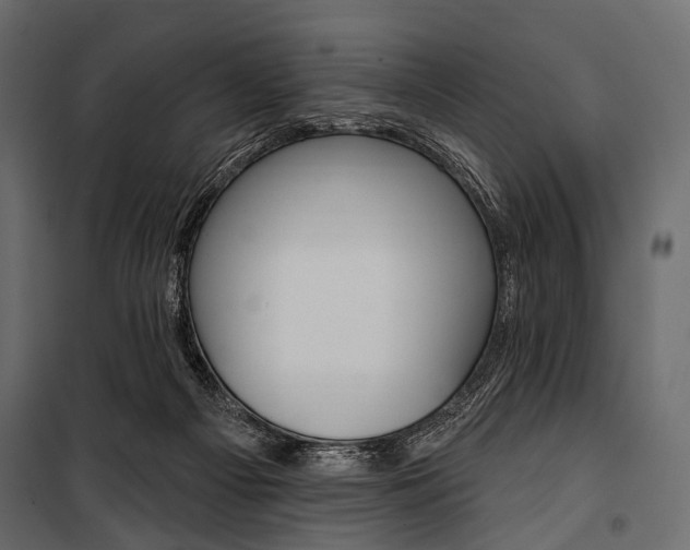 X0000100920121200806241123