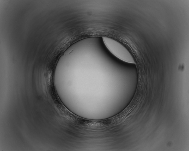 X0000100920123200806241123