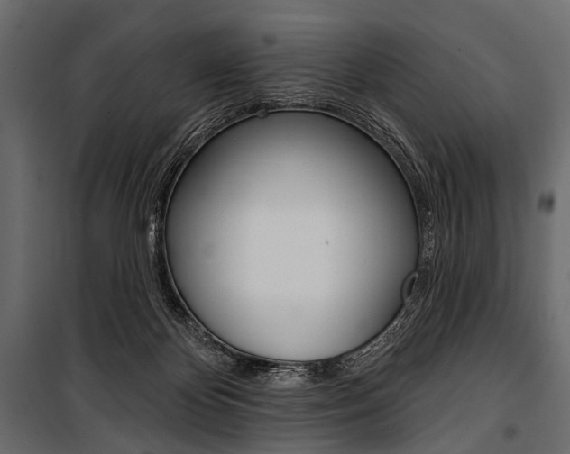 X0000100920124200806241123