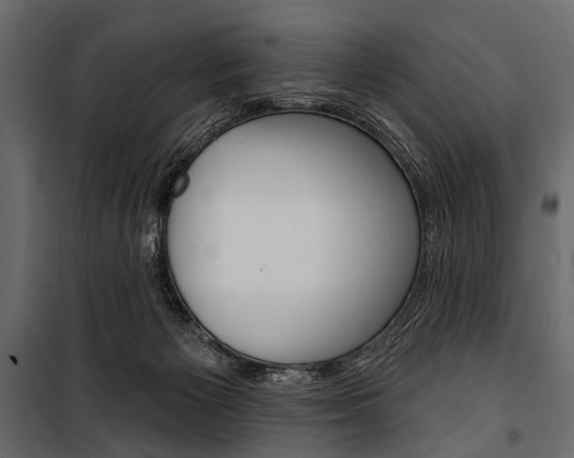 X0000100920125200806241122