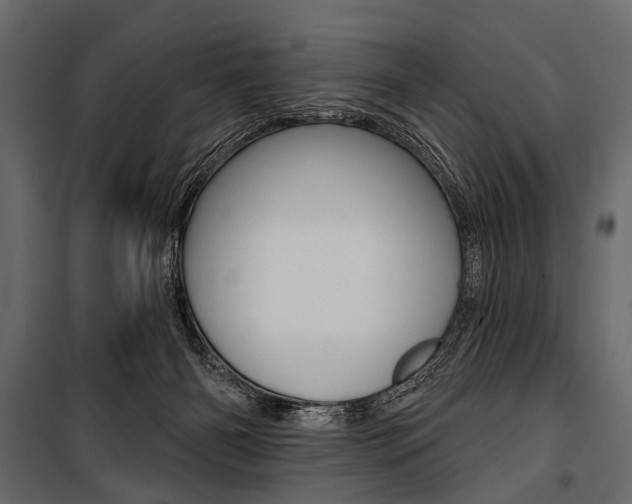 X0000100920126200806241122