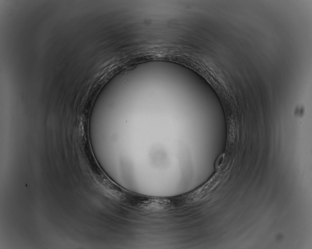 X0000100920128200806241122