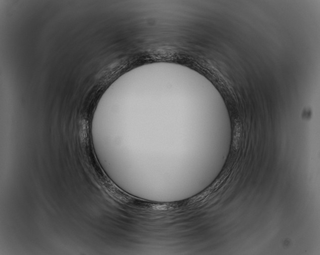 X0000100920130200806241122