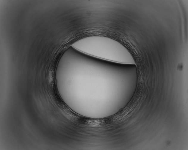 X0000100920131200806241122