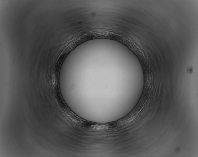 X0000100920135200806241122