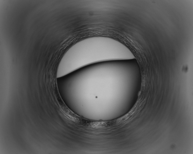 X0000100920136200806241122