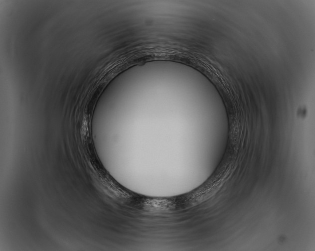 X0000100920137200806241122