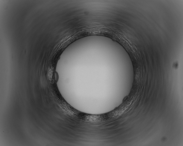 X0000100920139200806241122