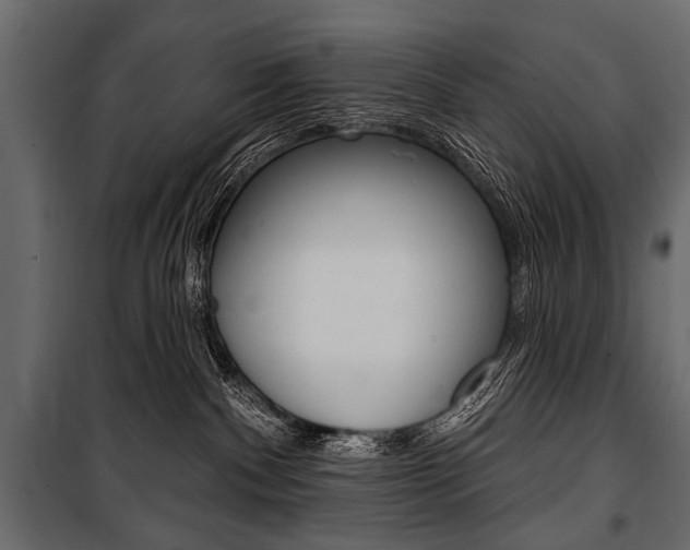 X0000100920140200806241122