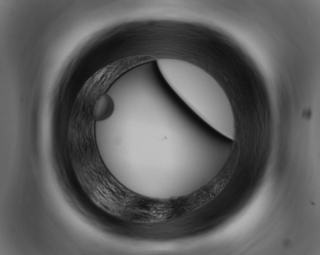 X0000100920143200806241122
