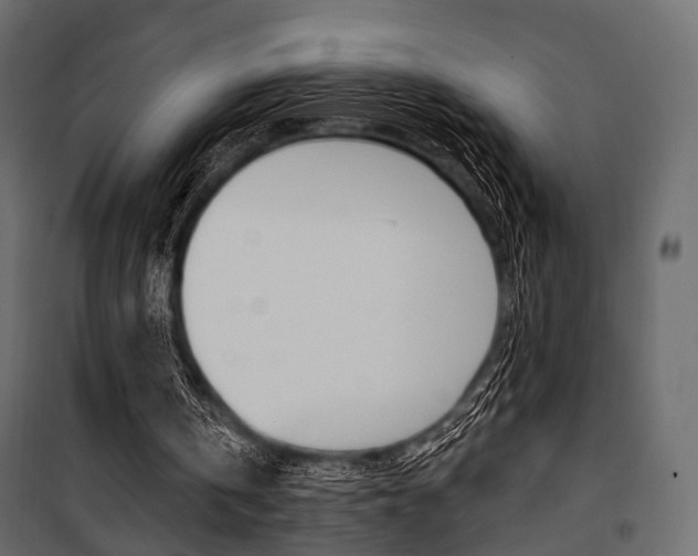 X0000100920146200806241121