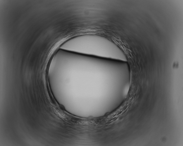 X0000100920147200806241121