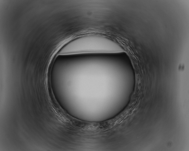 X0000100920148200806241121