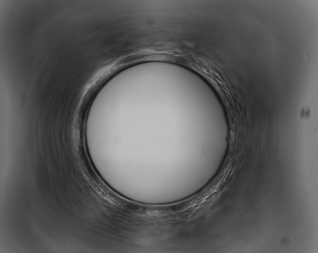 X0000100920149200806241121
