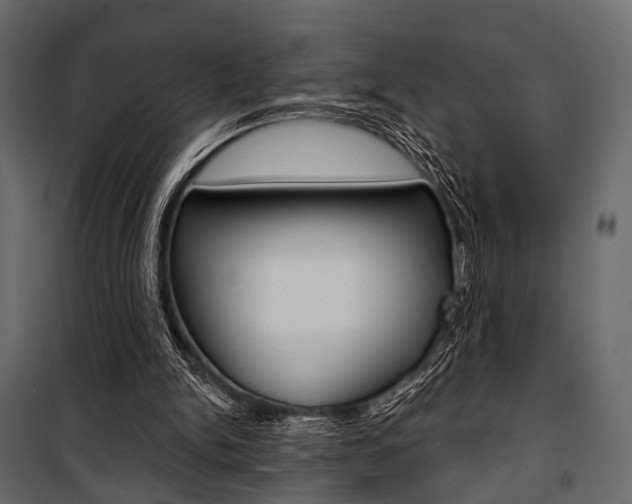 X0000100920150200806241121
