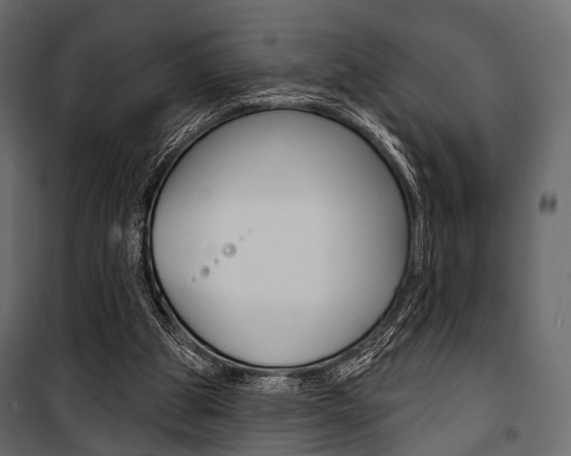 X0000100920153200806241121