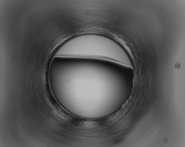 X0000100920154200806241121