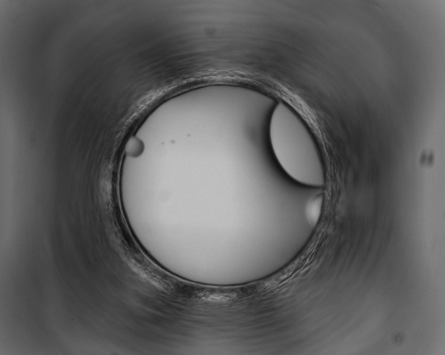 X0000100920155200806241122