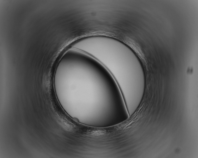 X0000100920156200806241122