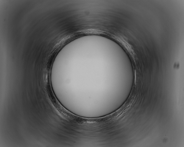 X0000100920157200806241122