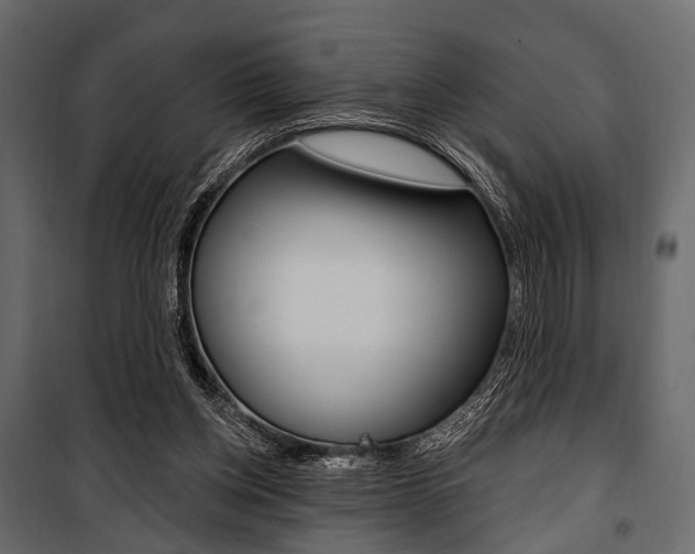 X0000100920158200806241122