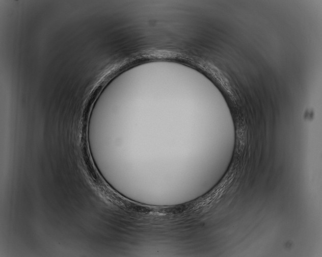 X0000100920159200806241122
