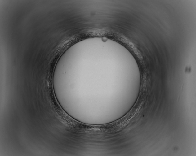 X0000100920161200806241122