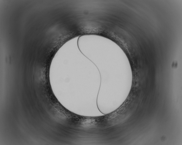 X0000100920162200806241122