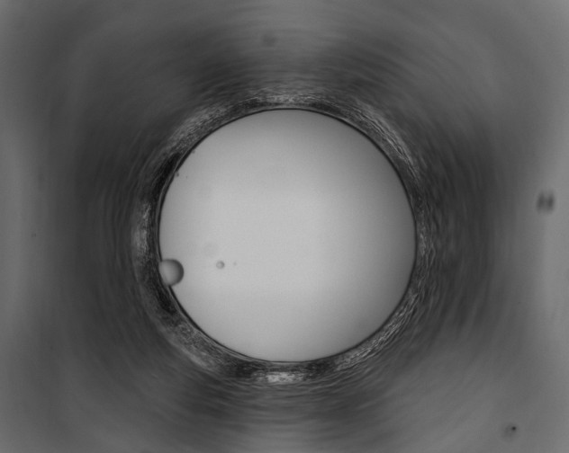 X0000100920163200806241122