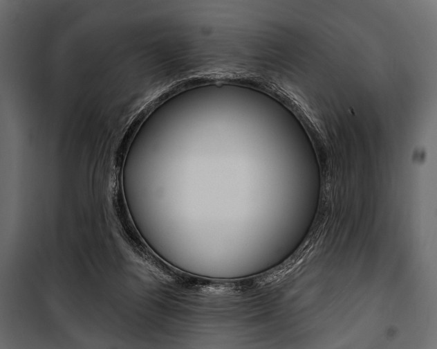 X0000100920164200806241122