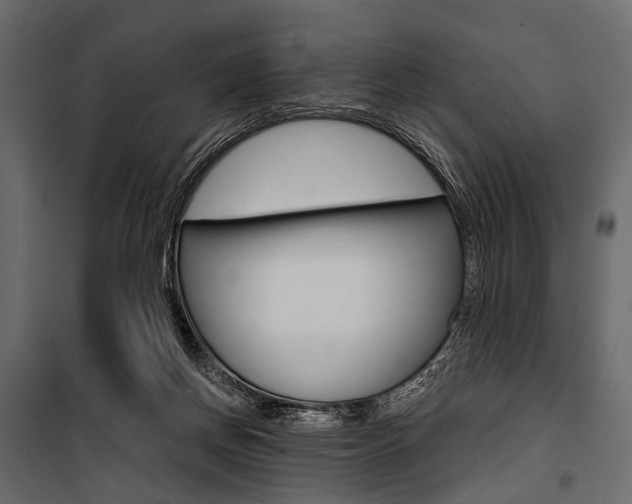 X0000100920166200806241122