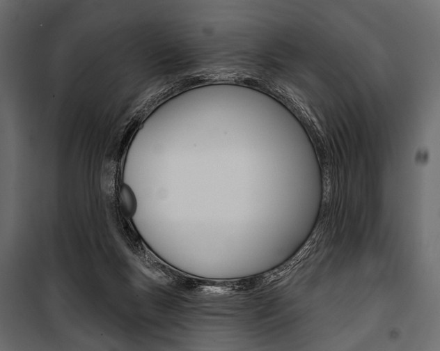 X0000100920167200806241122