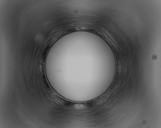 X0000100920169200806241122