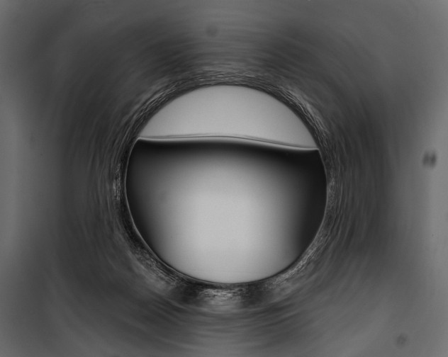 X0000100920170200806241122