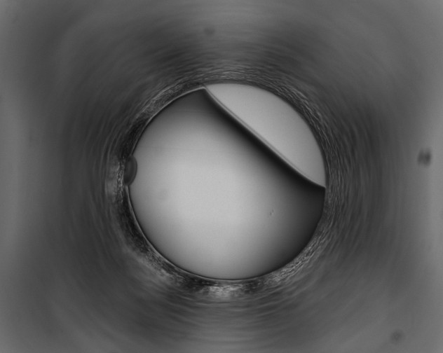X0000100920172200806241122