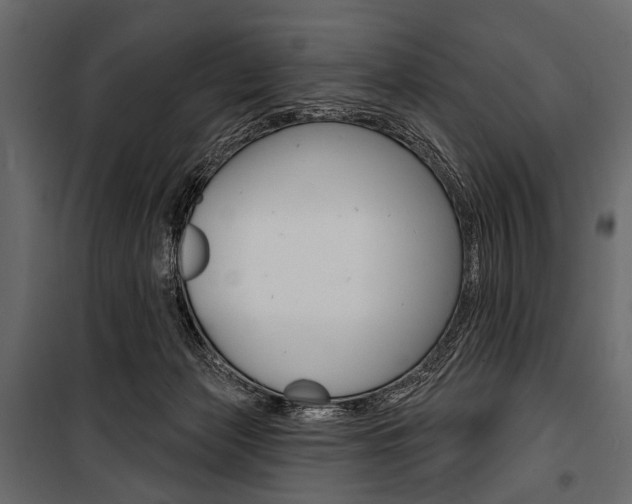 X0000100920173200806241122