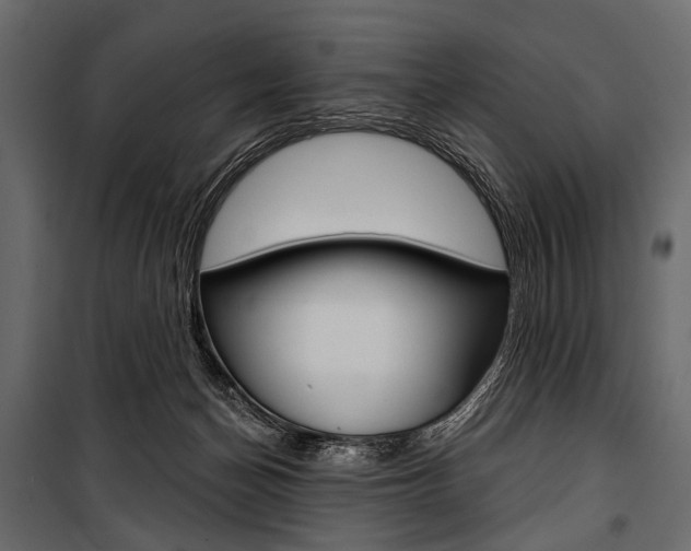 X0000100920174200806241122