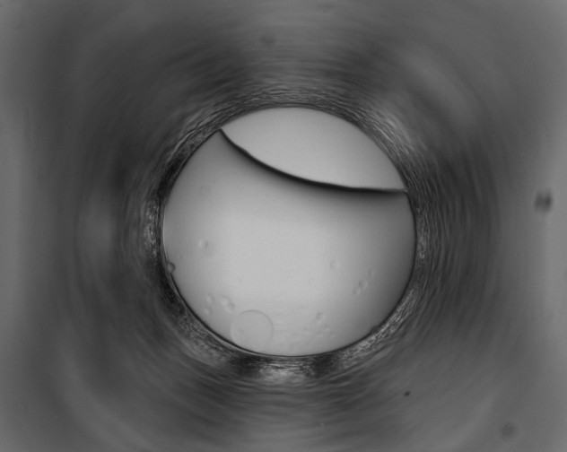 X0000100920175200806241122