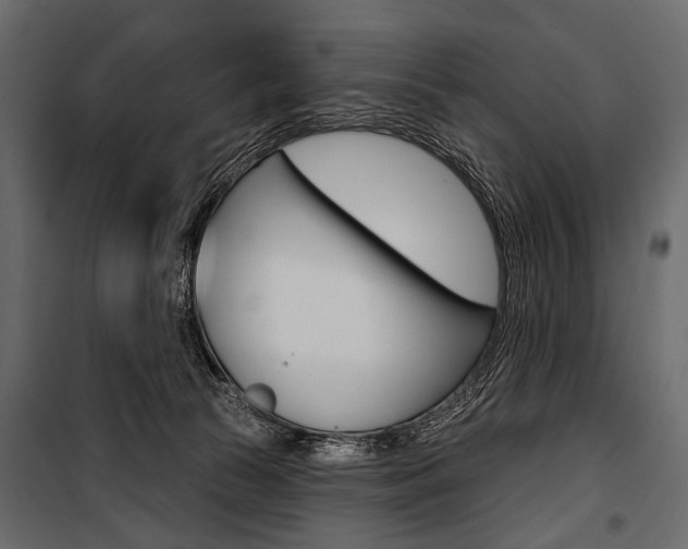 X0000100920177200806241122