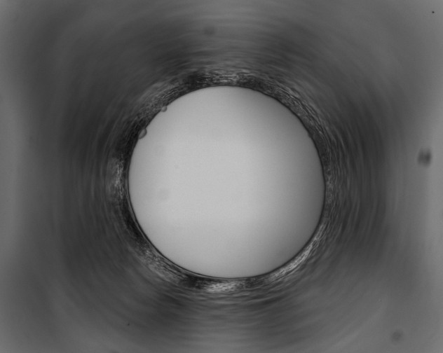 X0000100920178200806241122